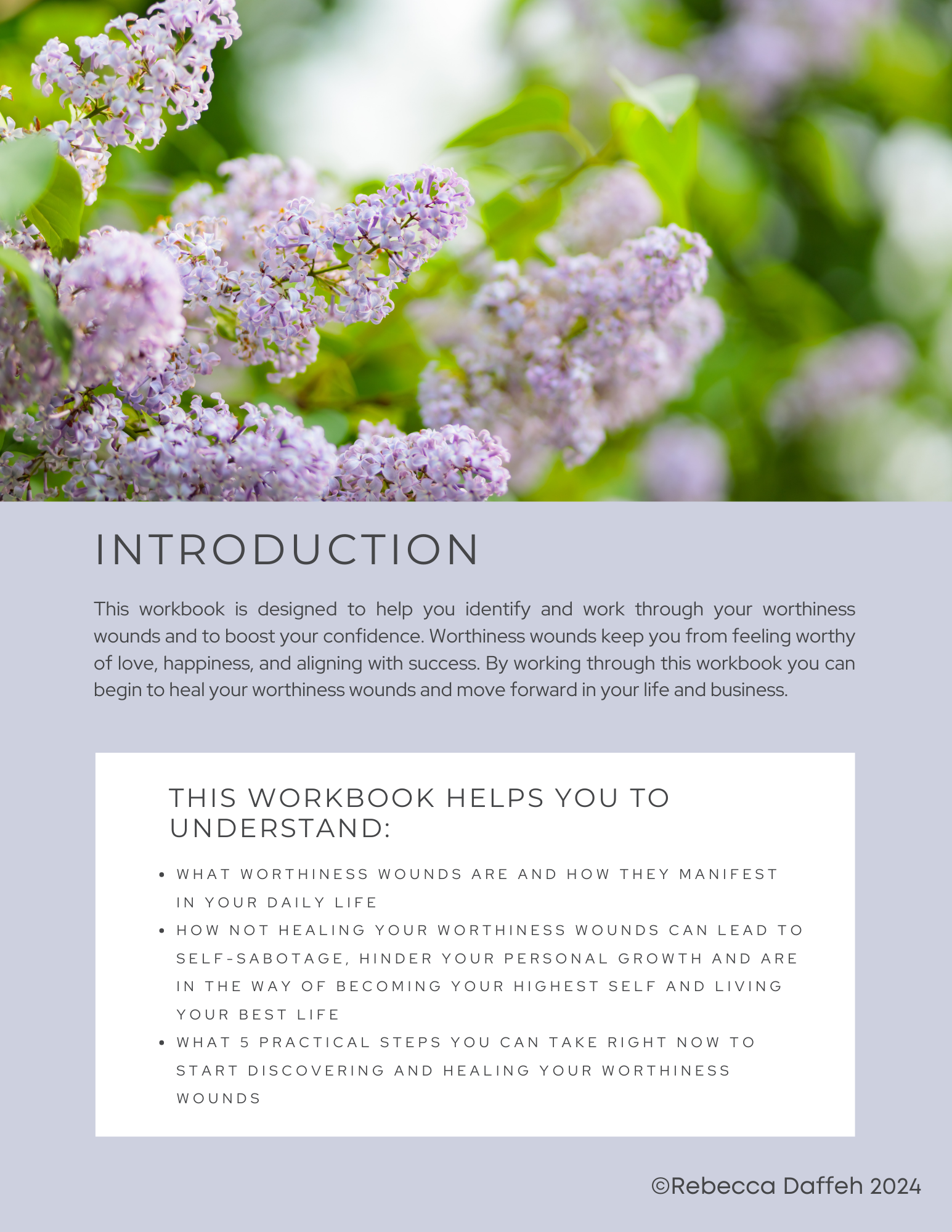Heal Your Worthiness Wounds Workbook - Image 2
